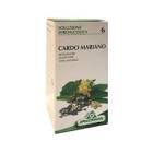 Cardo Mariano, semillas. Para decocto (Herbes del Molí)